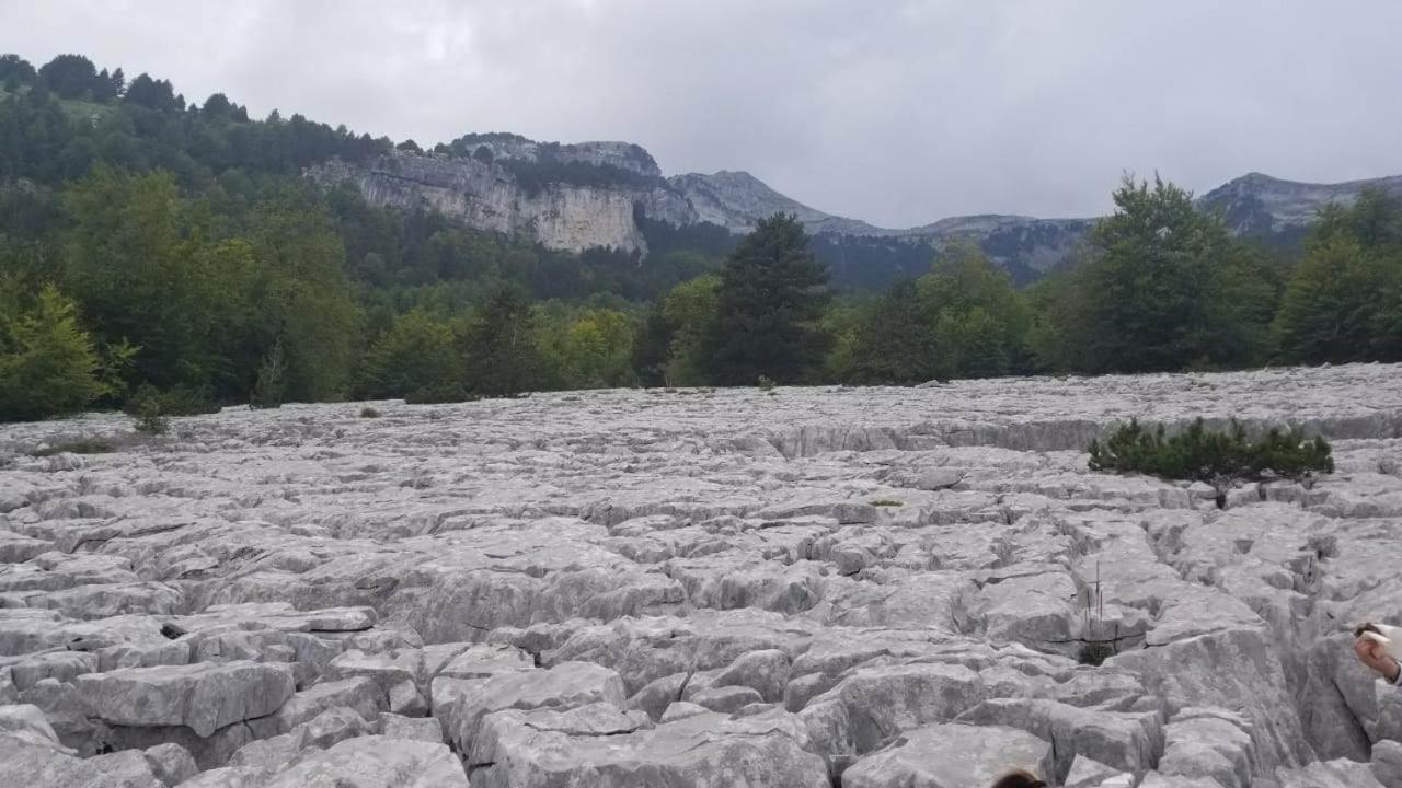 Hôtel Bujtina E Tomorrit à Ujanik Extérieur photo